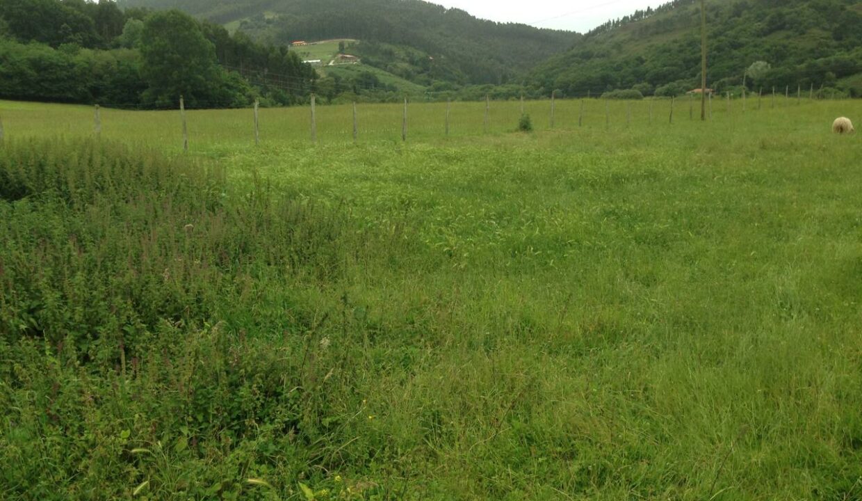 S-127842-94314PRINCIPAL